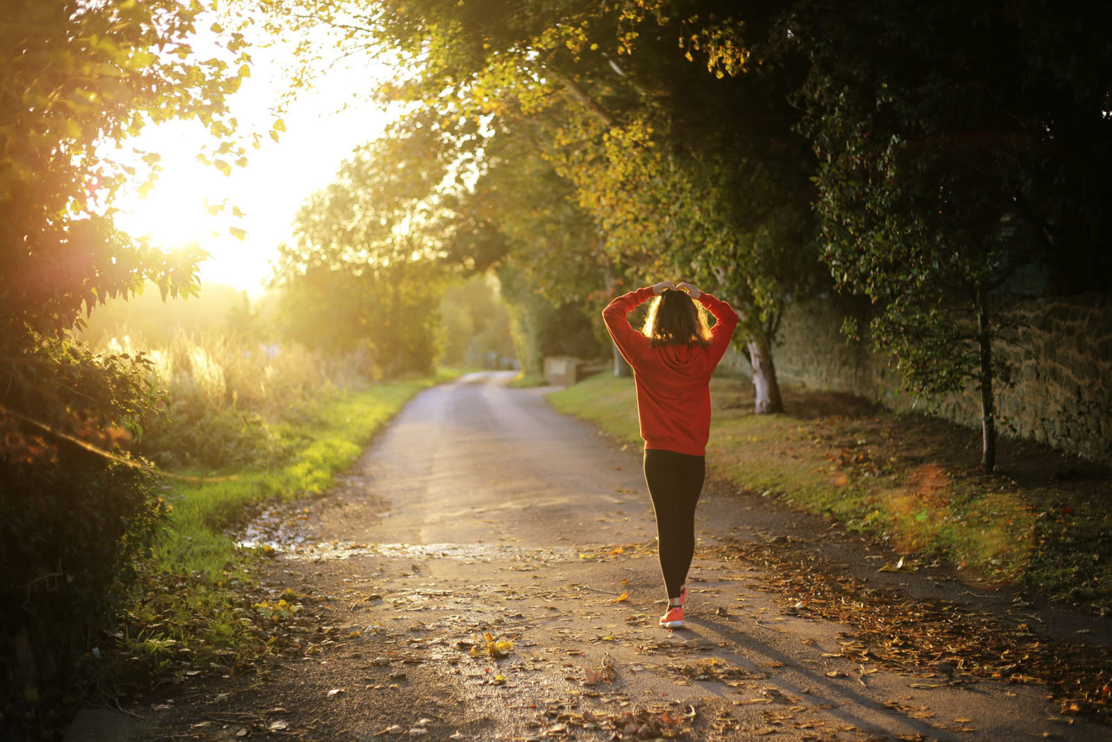 A woman,facing away from us, walks a country path with late evening sun streaming towards her