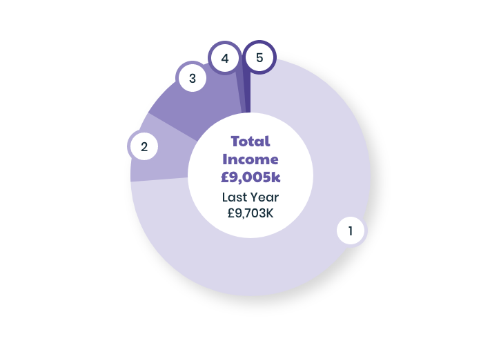 Total Income Pie Chart